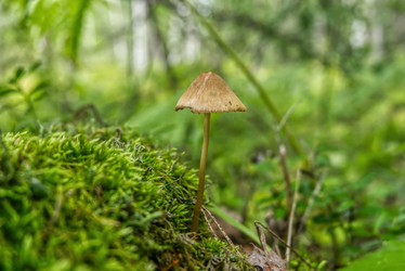 Similar image 21049029