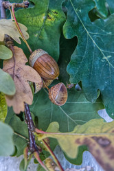 Similar image 21048033