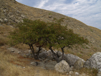 Similar image 21045510