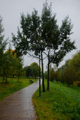 Similar image 21045512