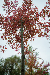 Similar image 21045514