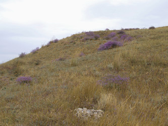 Similar image 21056726