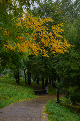 Similar image 21045515