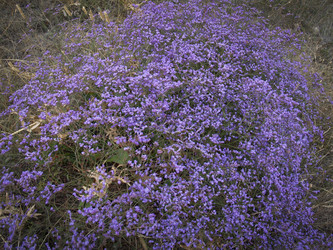 Similar image 21045516