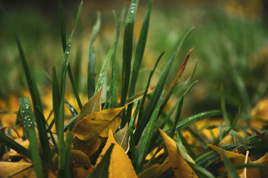 Similar image 21045518