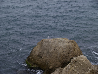 Similar image 21044668