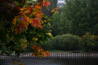 Similar image 21044669