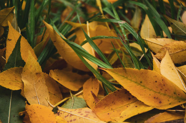 Similar image 21044670