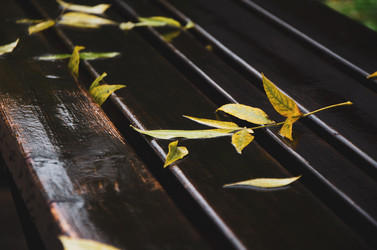 Similar image 21044671