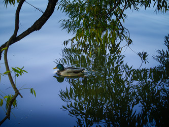 Similar image 21044673