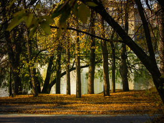 Similar image 21044677