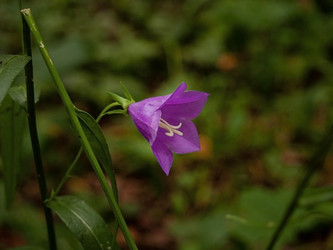 Similar image 21044678