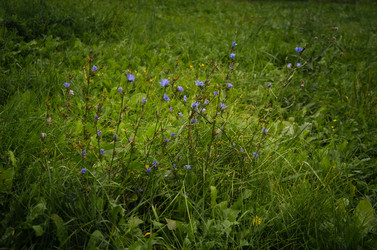 Similar image 21045525