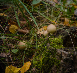 Similar image 21045526