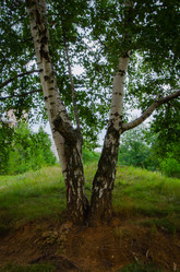 Similar image 21044686