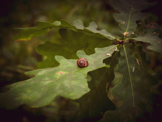 Similar image 21044011