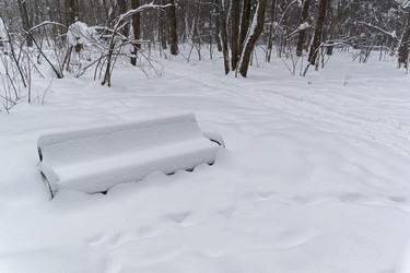 Similar image 21044969