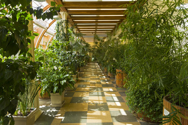 Similar image 21044976