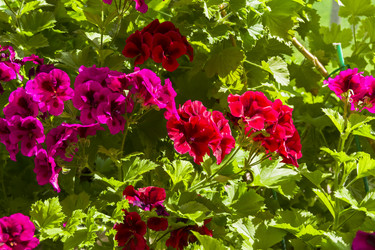 Similar image 21044977