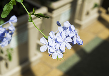 Similar image 21044981