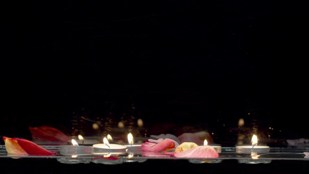 Similar image 21051991