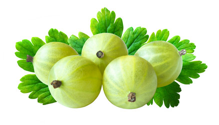 Similar image 21058171