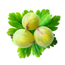 Similar image 21058172