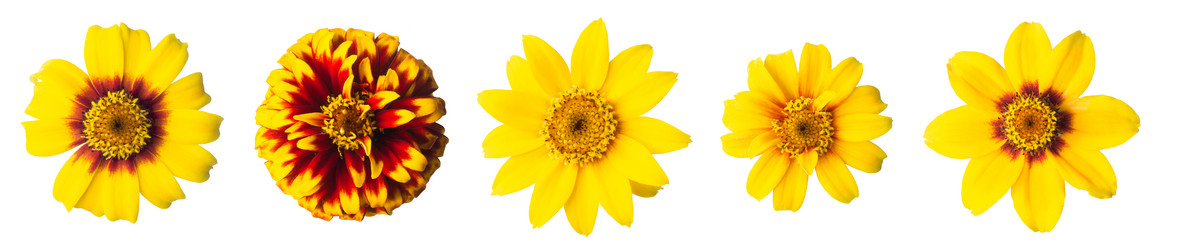 Similar image 21050469