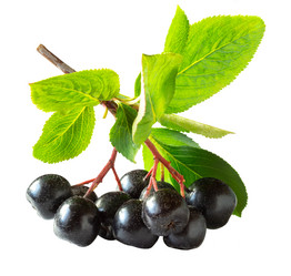 Similar image 21050470