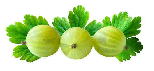 Similar image 21058176