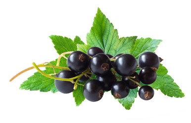 Similar image 21058177