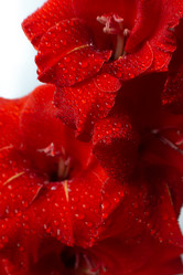 Similar image 21058178