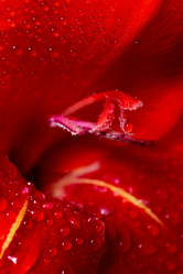 Similar image 21058179