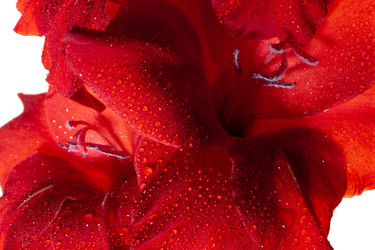 Similar image 21058180