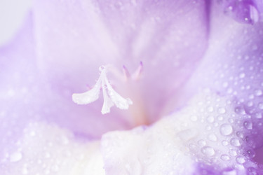 Similar image 21058183