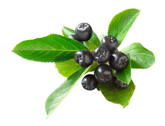 Similar image 21050475