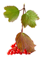 Similar image 21044717