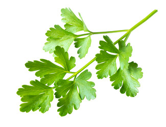 Similar image 21050480