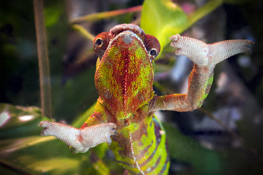 Similar image 21044726