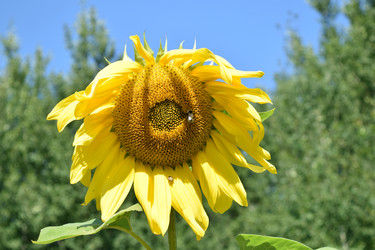 Similar image 21048034