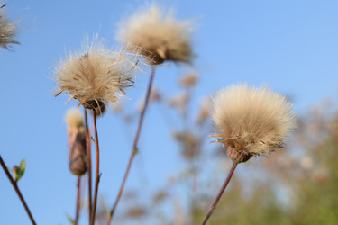 Similar image 21048035