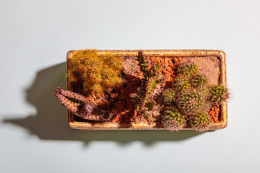 Similar image 21070725