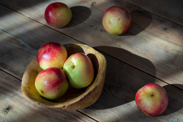 Similar image 21071059