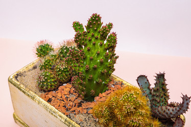 Similar image 21071065