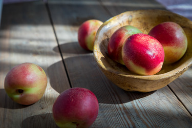 Similar image 21069456