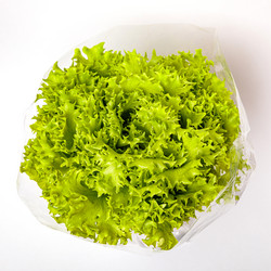 Similar image 21068233