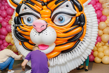 Similar image 21070582