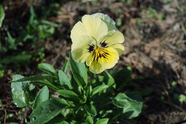 Similar image 21045246