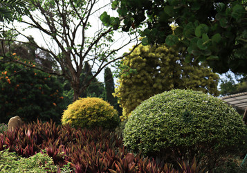 Similar image 21045249