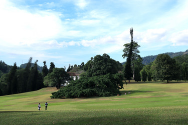 Similar image 21045250